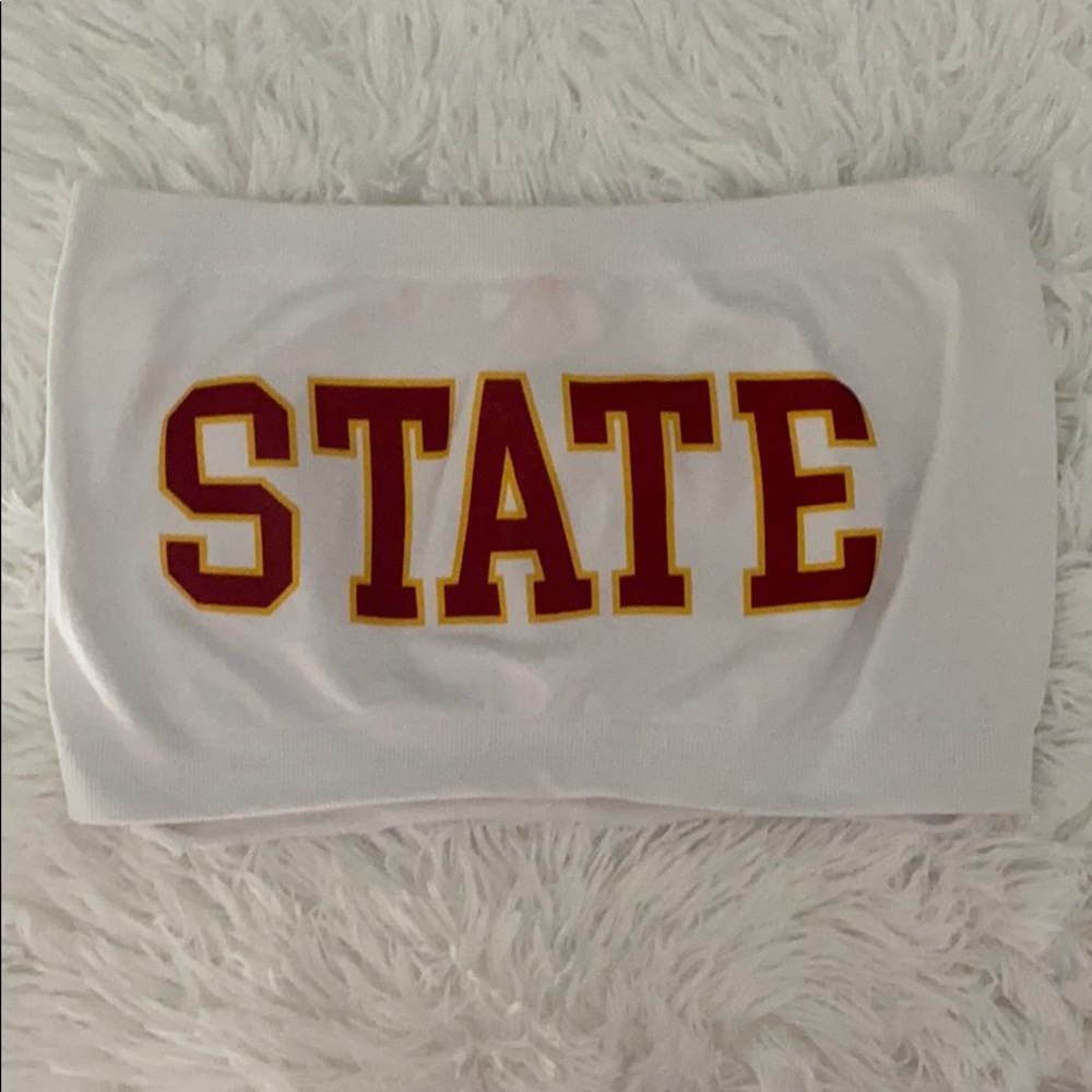 FSU State Bandeau
